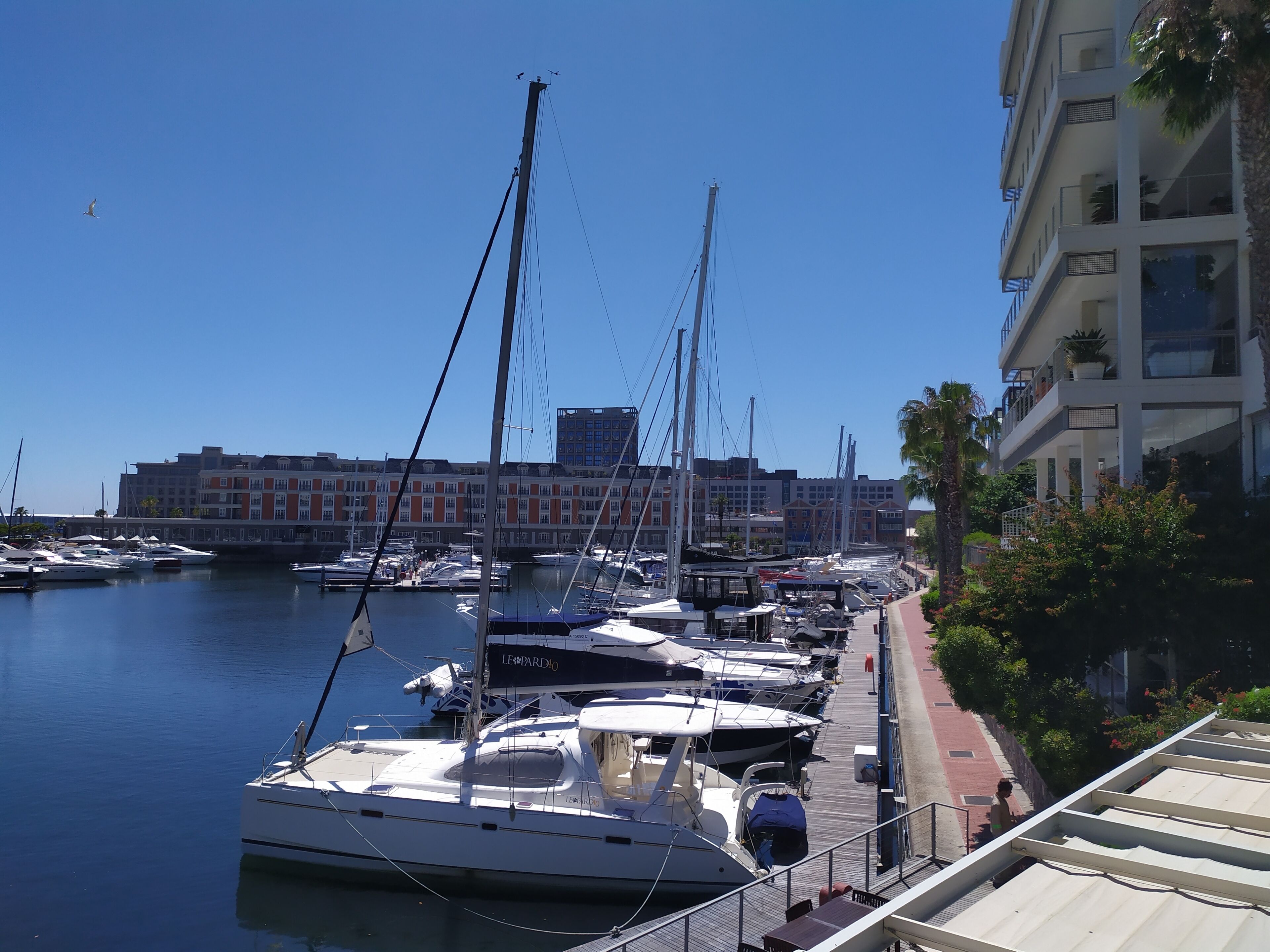 Apartment, 3 Bedrooms, Patio, Ocean View | Boating