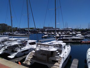 Paseos en barco