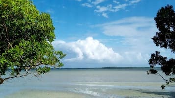 Room, 1 Bedroom, Balcony, Garden View | Beach