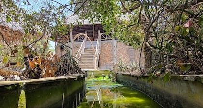 Room-mida Creek Eco Camp - Eco Lodge