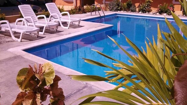 Ein Swimmingpool mit weißen Liegestühlen und einer Pflanze im Vordergrund.