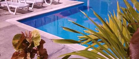 Shared Dormitory, 1 Bedroom, Terrace | Pool | Outdoor pool