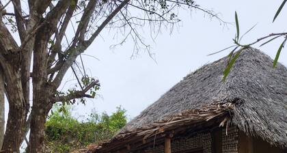 Room in B&B - Mida Creek Eco Camp 1