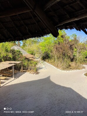 Room, 1 Bedroom, Balcony | Property entrance - Room in B&B - Mida Creek Eco Camp 1 (Watamu)