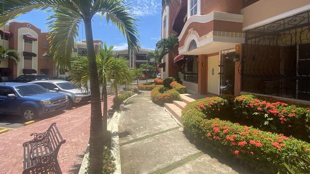 A street view with parked cars, a bench, palm trees, and a building with a gated entrance. - Spacious 3-bedroom Apartment in Santo Domingo! (Santo Domingo Norte)