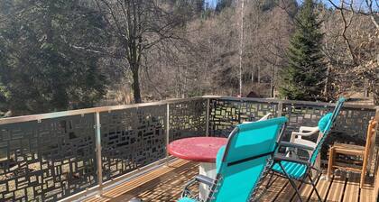 Petit chalet en pleine nature