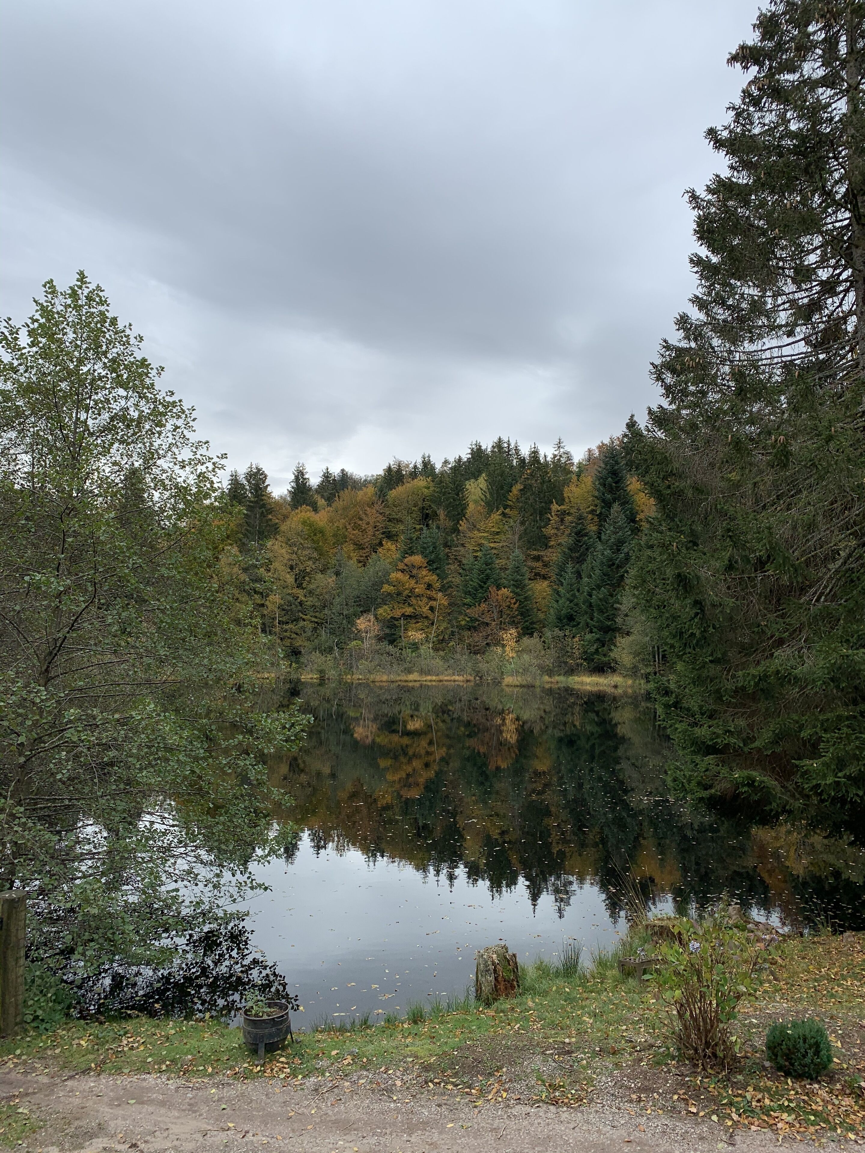 Ein stiller See, umgeben von dichtem Wald, mit einem klaren Spiegelbild der Bäume.