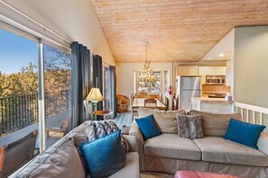 TV, fireplace, DVD player, stereo