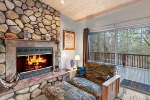 Televisión, chimenea, reproductor de DVD y estéreo 