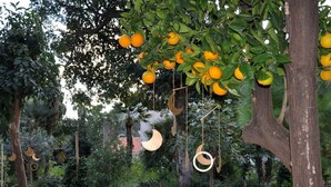 Unclassified image, 3 of 27, button - Apartment The Scent of Travels (Dubrovnik)