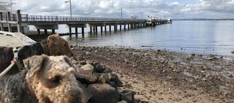 Woody Point Coastal Cottage