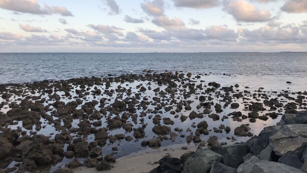 A rocky shoreline with a calm sea and a partly cloudy sky. - Woody Point Coastal Cottage (Woody Point)