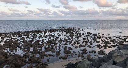Woody Point Coastal Cottage