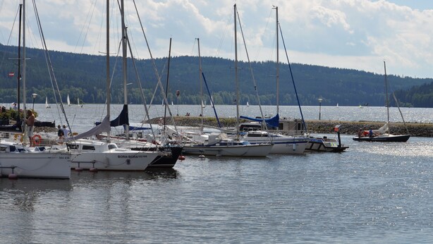 Ein Yachthafen mit mehreren Segelbooten, ruhigem Wasser und einem bewaldeten Hügel im Hintergrund.