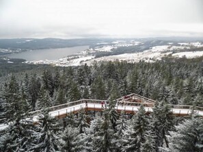 A snow-covered forest with a wooden cabin structure featuring a balcony.