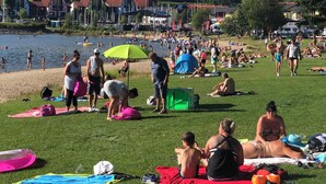 Ein Park am Seeufer mit Menschen, die sonnenbaden, spazieren gehen und schwimmen.