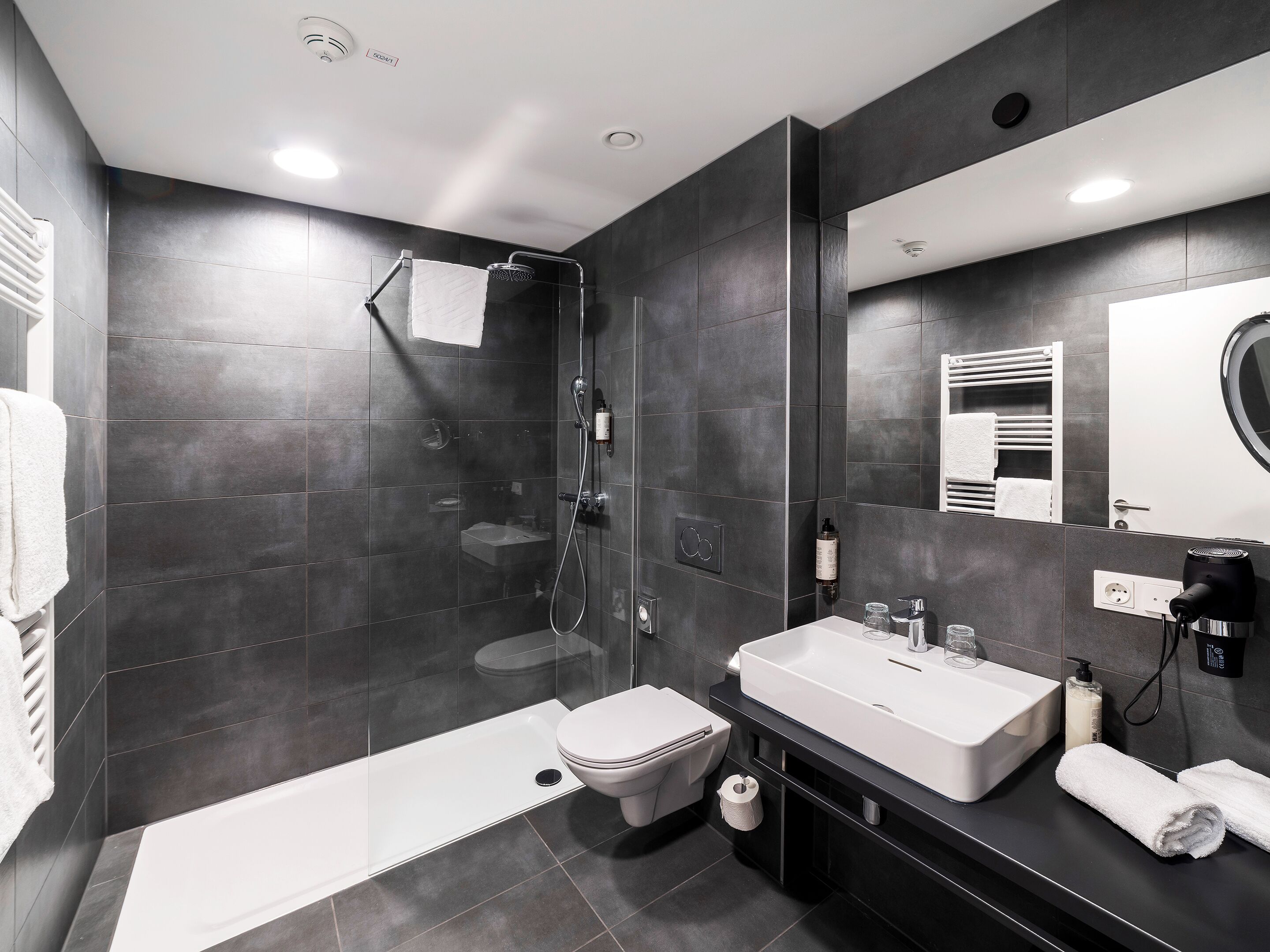 deluxe double room, lake view | bathroom | shower, rainfall showerhead, free toiletries, hair dryer