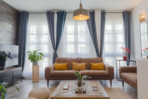 Télévision, cheminée, livres, chaîne hi-fi