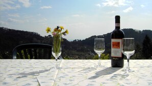 A table with a bottle of wine and two glasses, a vase with flowers, and a chair. - Intimate little paradise! (Camaiore)