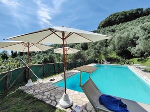 Piscina con sillas de descanso y sombrillas, rodeada de follaje y suelo de piedra.