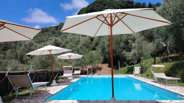 A swimming pool with lounge chairs and umbrellas, surrounded by stone tiles and greenery. - Intimate little paradise! (Camaiore)
