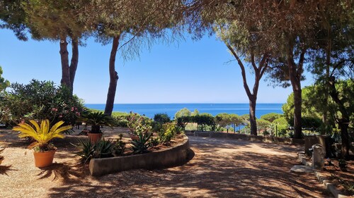 All'ombra del Pino - Vista Mare