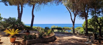 All'ombra del Pino - Vista Mare