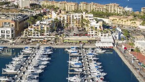 Una marina con numerose imbarcazioni ormeggiate, circondata da edifici a più piani e palme.