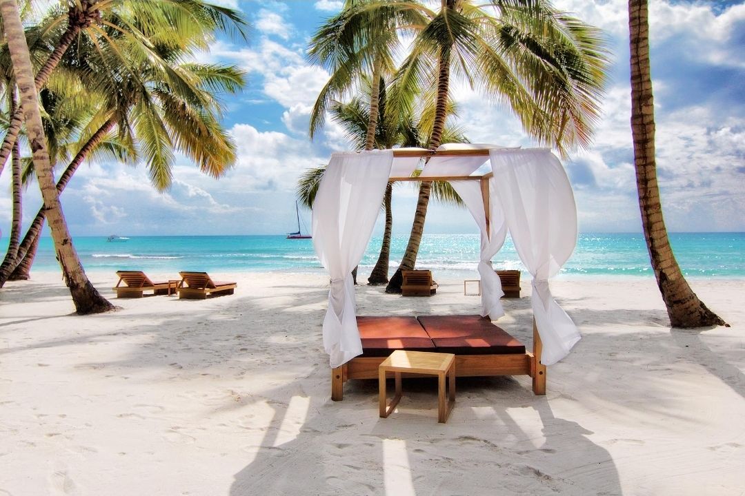 Un décor de plage avec un lit à baldaquin, des chaises longues en bois et des palmiers.