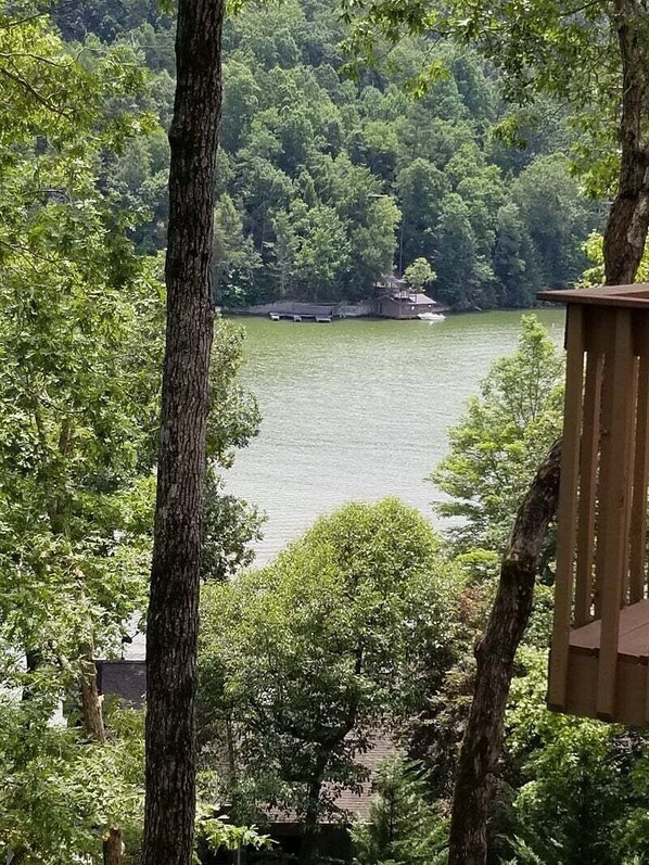 A lake surrounded by dense trees, a wooden deck, and a distant house.