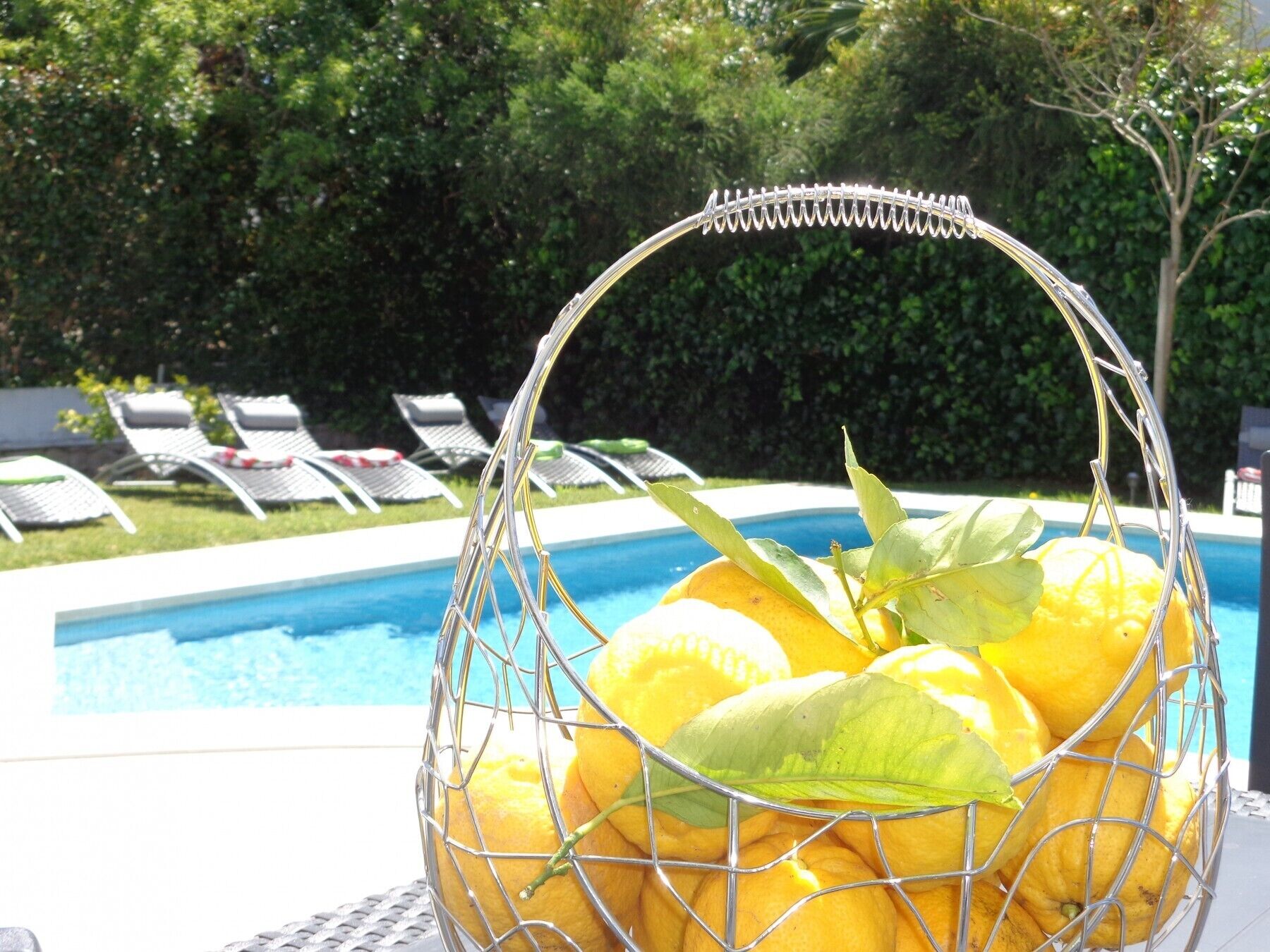 Photo - Strip by Check-in Portugal