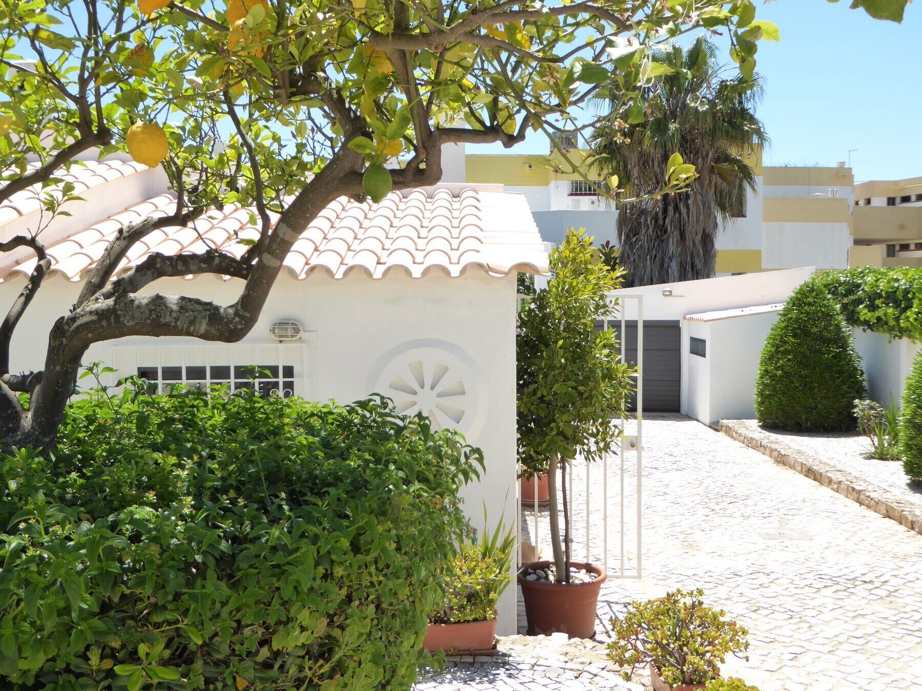 Photo - Strip by Check-in Portugal