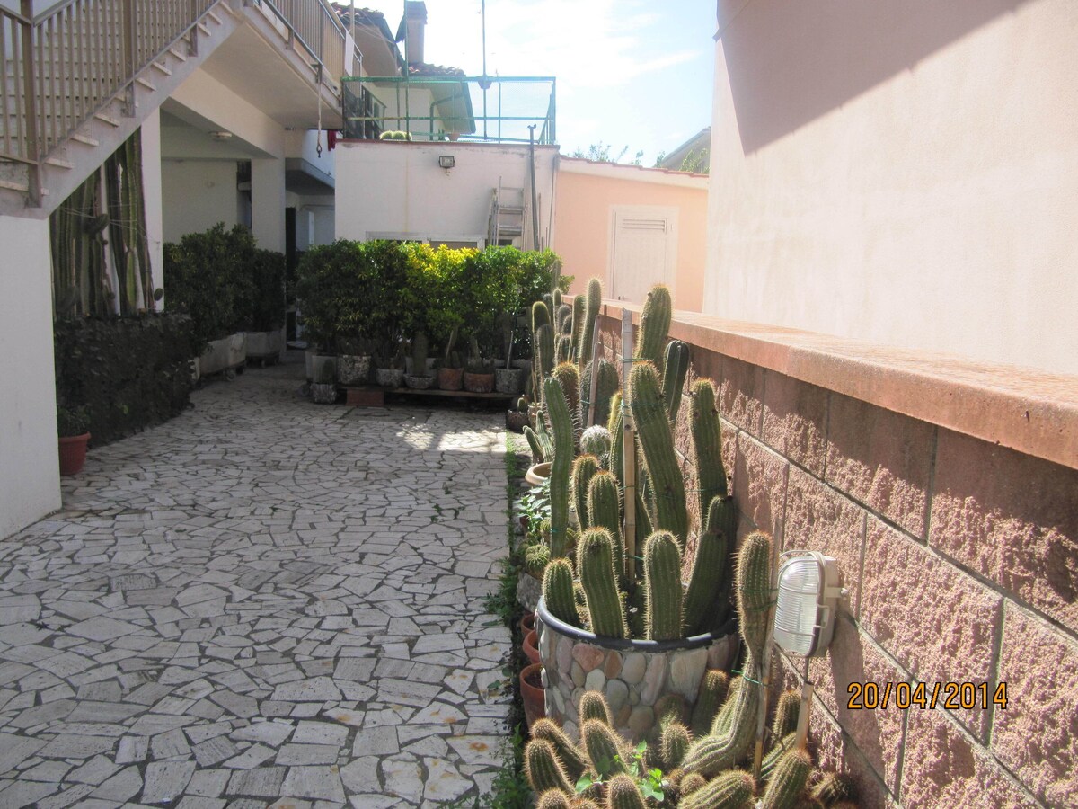 オーナーのプロフィール画像