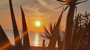 A sunset over the ocean with a clear sky, viewed through the leaves of a plant.