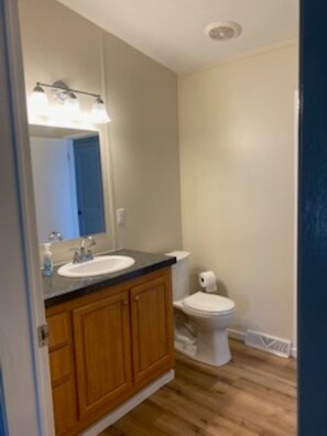 Combined shower/bathtub, towels, toilet paper