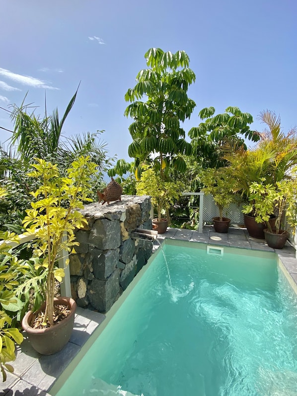 Une piscine entourée de plantes en pot et d’un mur de pierre.