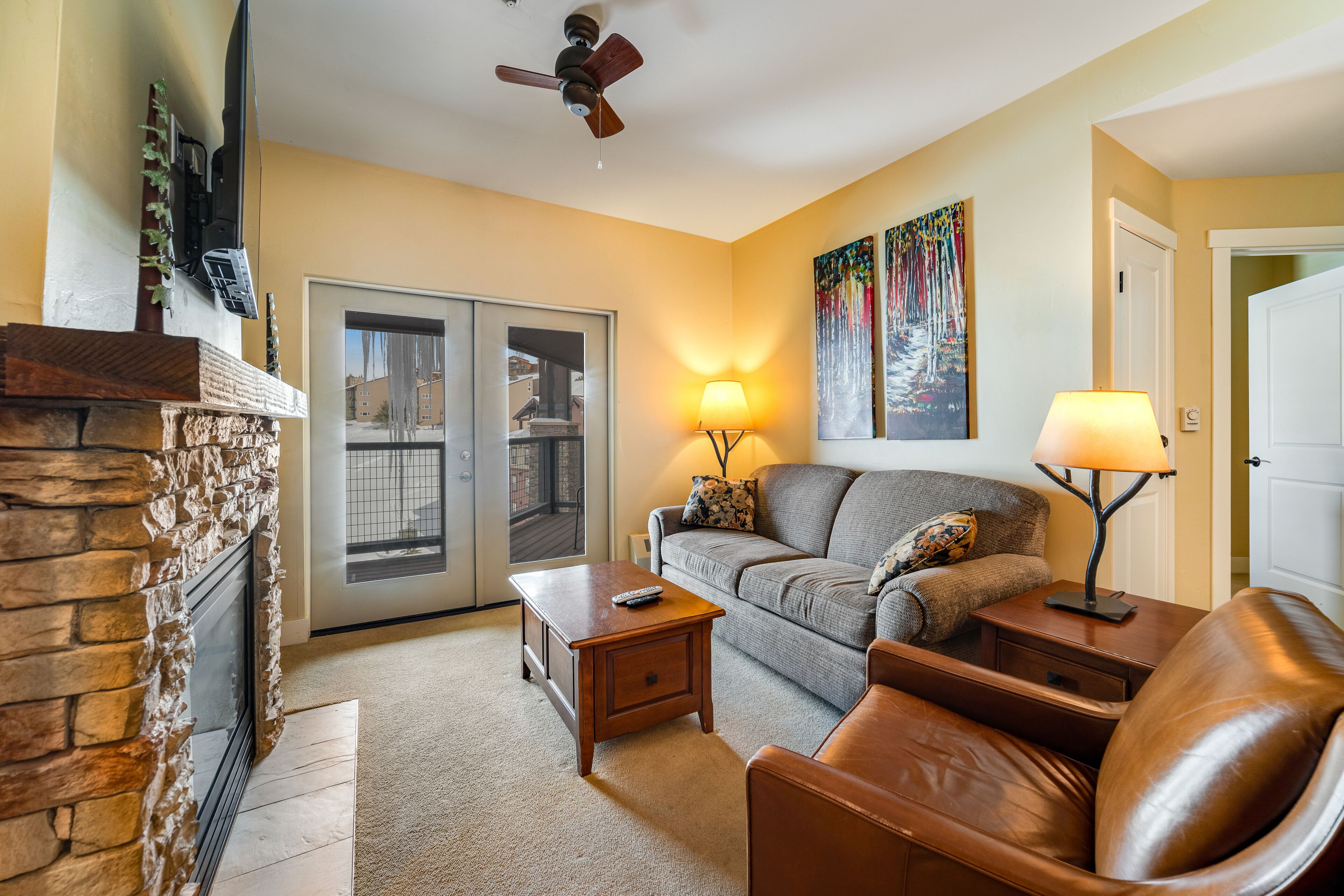 テレビ、暖炉、DVD プレーヤー、書庫