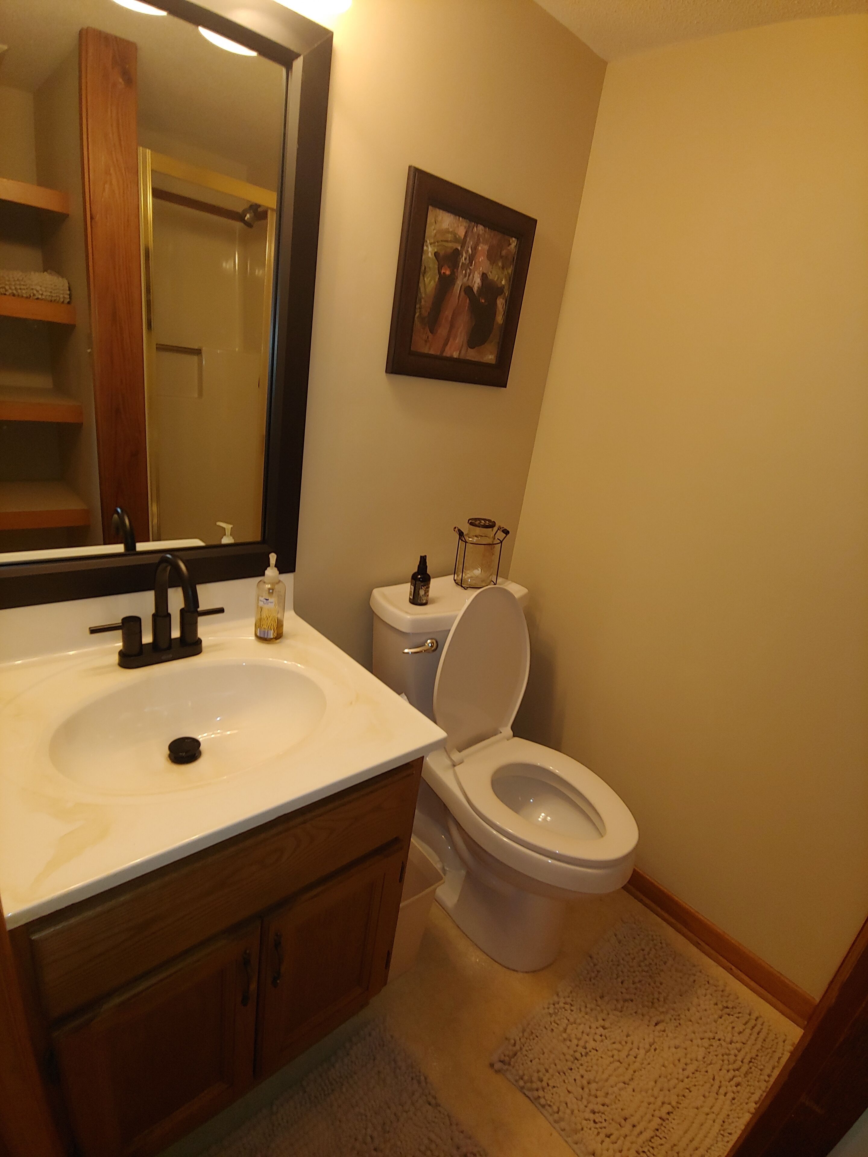 A bathroom with a white sink, a mirror, a toilet, and a framed picture on the wall.