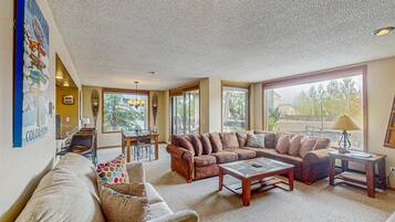 TV, fireplace, DVD player