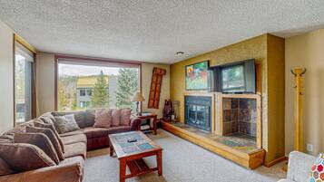 TV, fireplace, DVD player