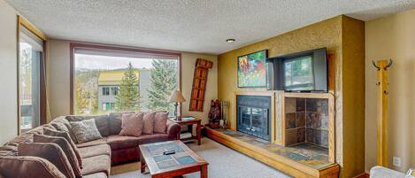 TV, fireplace, DVD player