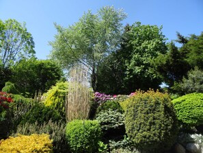 Terrain de l’hébergement 
