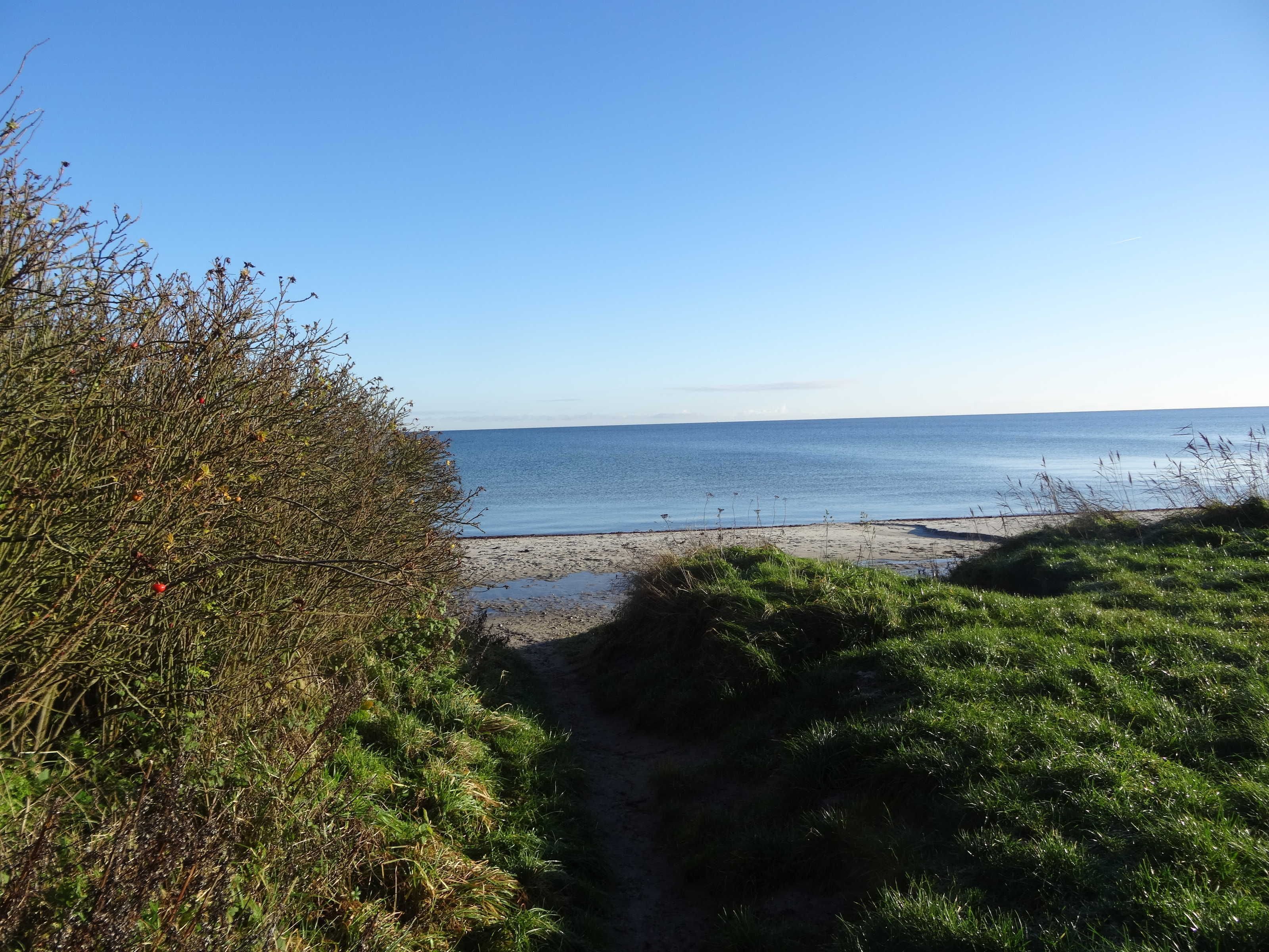 A coastal path leading to a beach with clear skies.