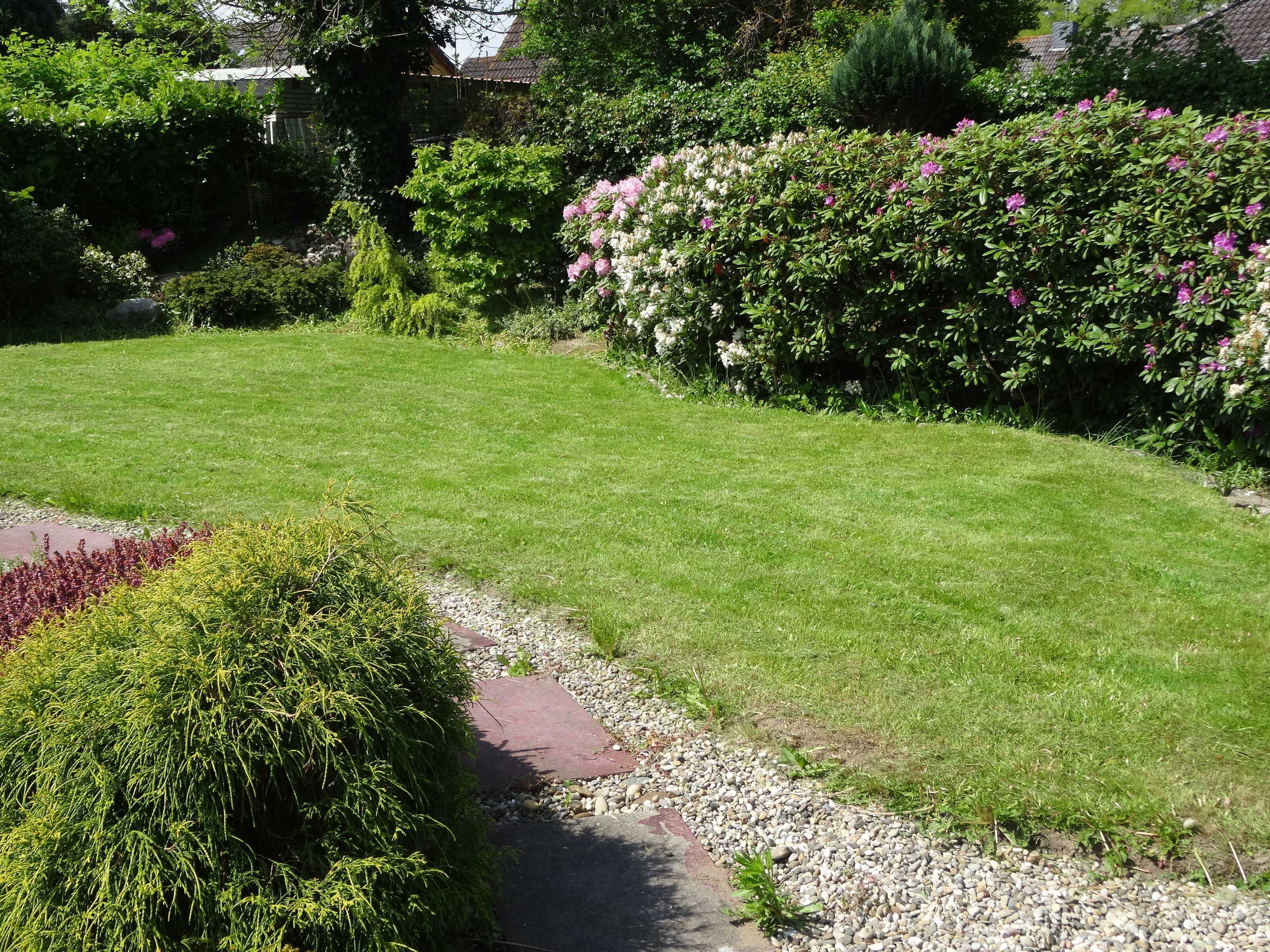 A well-maintained garden with a variety of plants and a paved walkway.