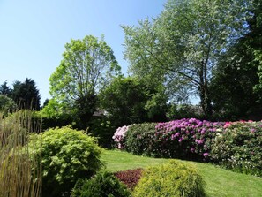 A garden with various plants and trees. - Ferienhaus Urlaub am Meer (Maasholm)