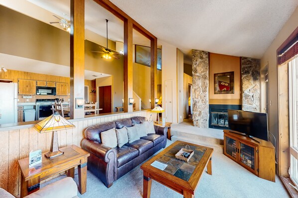 Televisio, takka, DVD-soitin, kirjoja