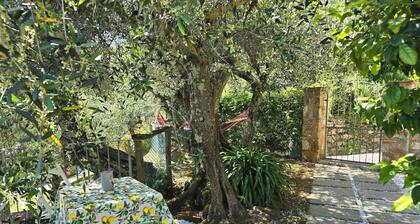 Detached house in nature suitable for families (2 double bedrooms) and dogs