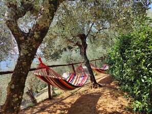 Property grounds - Detached house in nature suitable for families (2 double bedrooms) and dogs (Camaiore)
