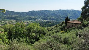A rural landscape with a building surrounded by dense greenery and hills in the background.