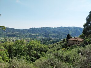 A rural landscape with a building surrounded by dense greenery and hills in the background. - Detached house in nature suitable for families (2 double bedrooms) and dogs (Camaiore)